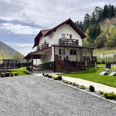ZărneştiCasa De Sub Hora别墅 外观 照片